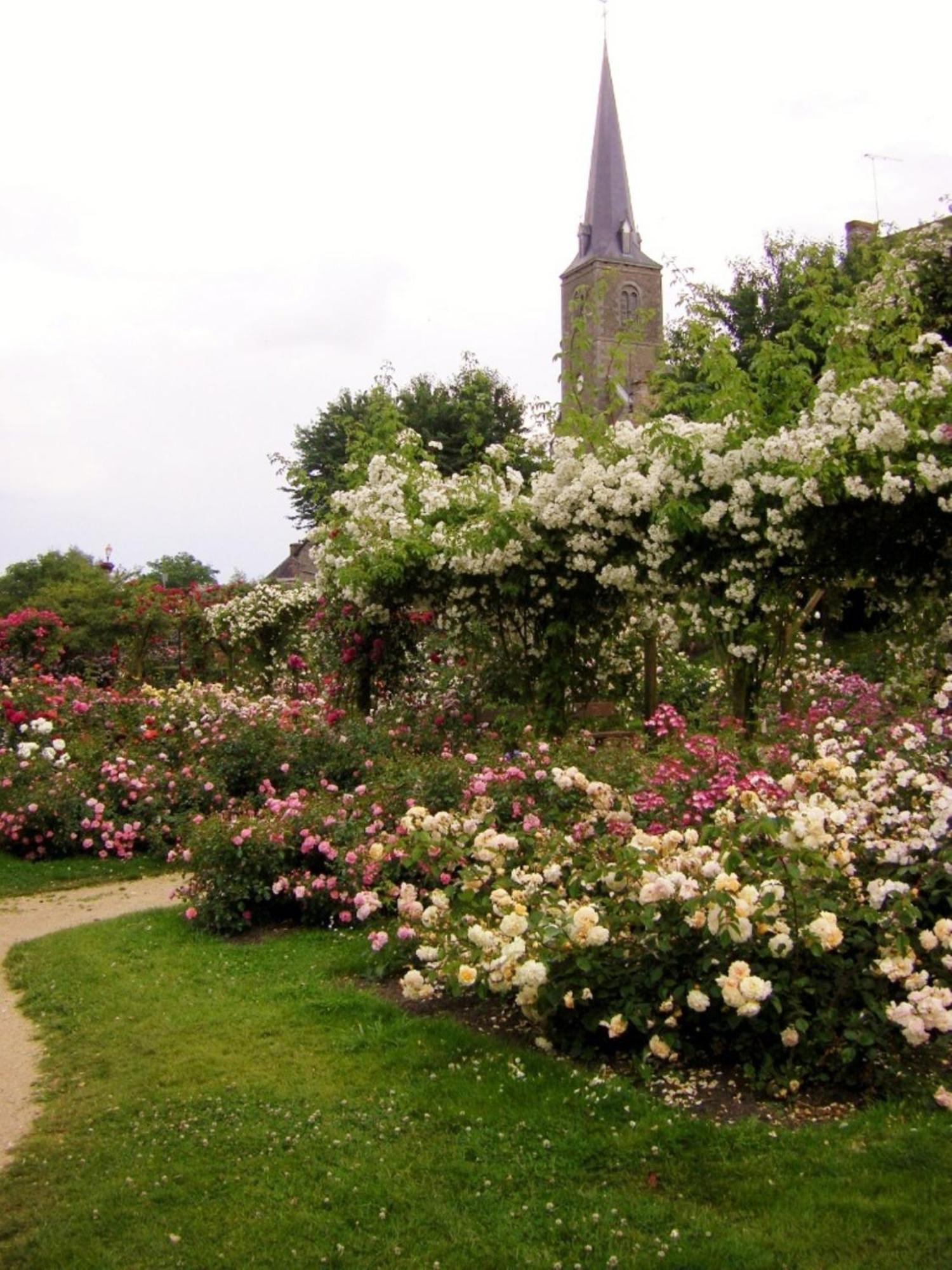مبيت وإفطار Sainte-Marie-du-Bois  La Cloue المظهر الخارجي الصورة